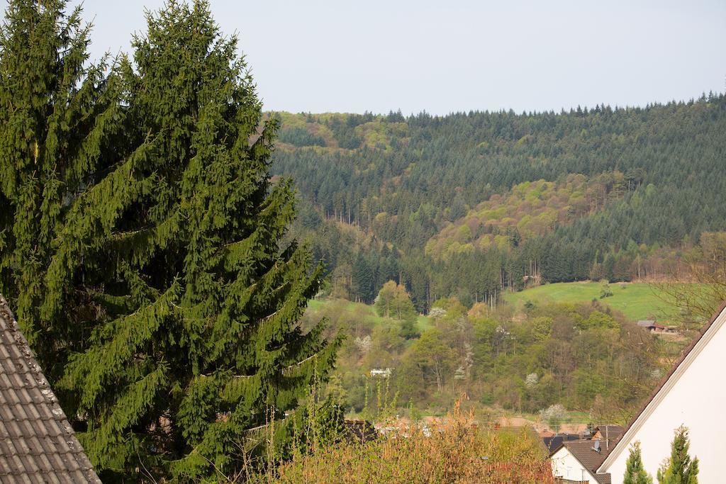 Schoene Aussicht Seelbach  Szoba fotó