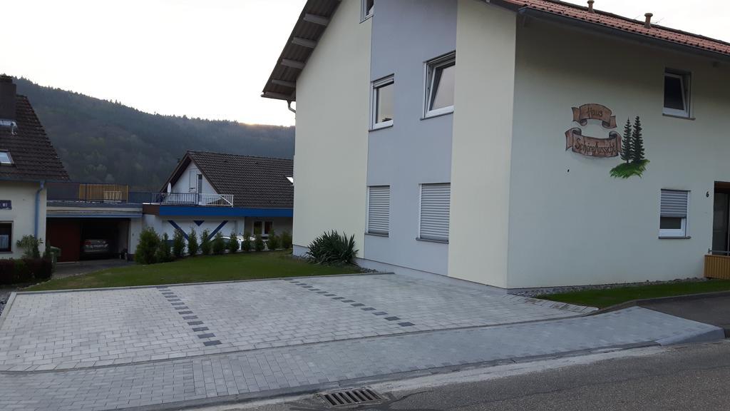 Schoene Aussicht Seelbach  Kültér fotó